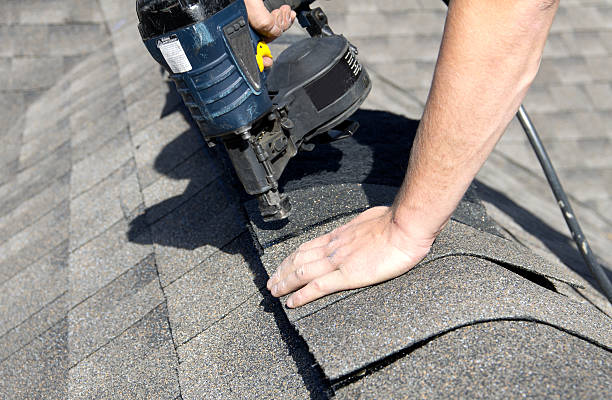 Best Asphalt Shingle Roofing  in Astor, FL